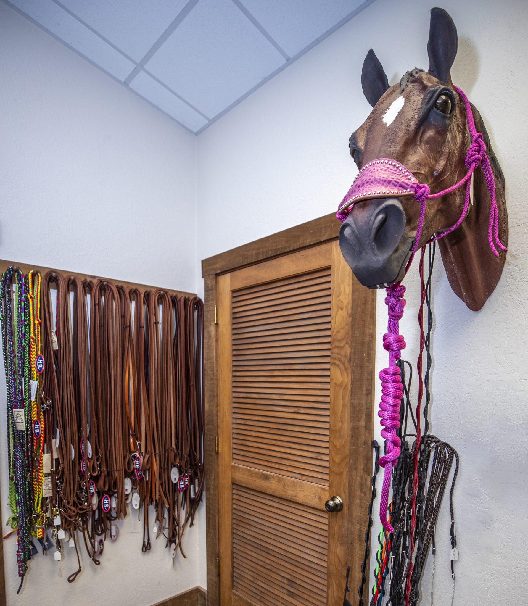 Horse Tack Shops Cambridge at Shawn Velasquez blog